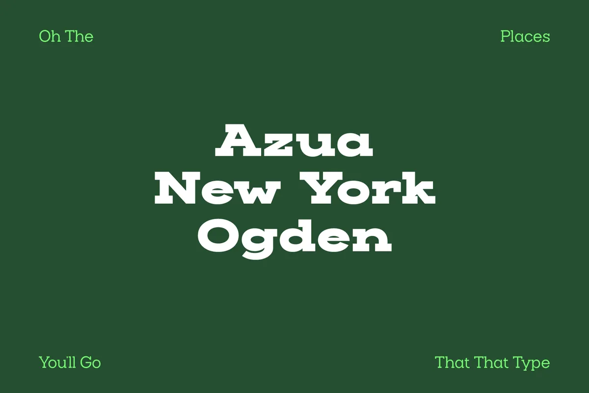 Slaab - Variable Slab Serif Font Family