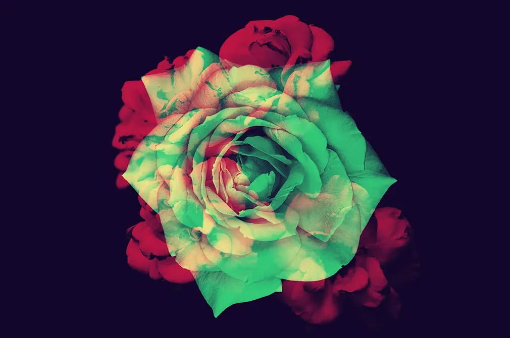Flower Photoshop Brushes