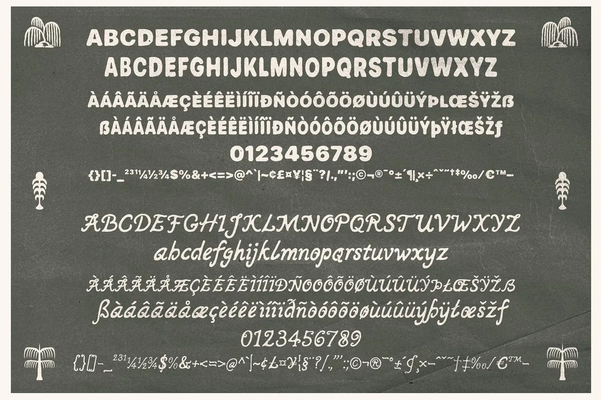 SORIO Hand-Written Font Duo