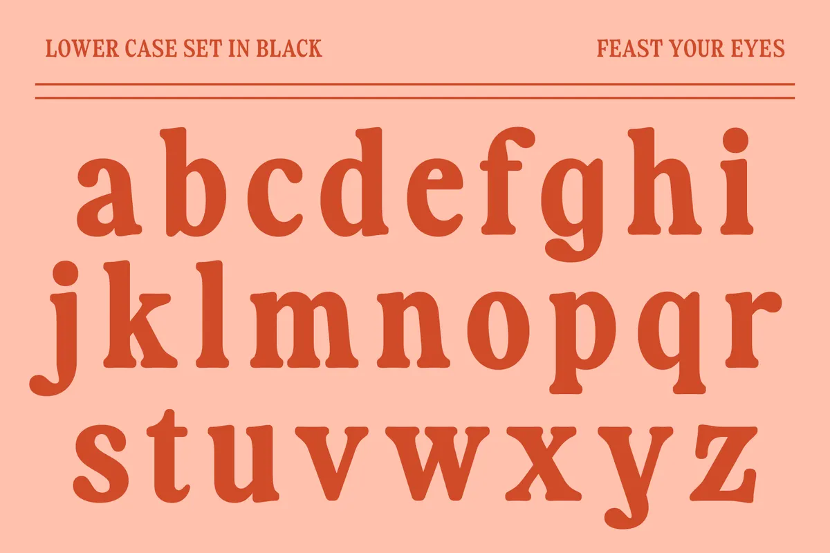 Fiyona - Retro Soft Serif Font Family