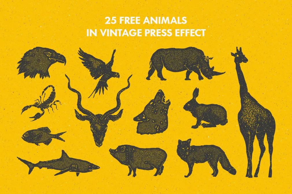 Animals Vintage Illustrations Set