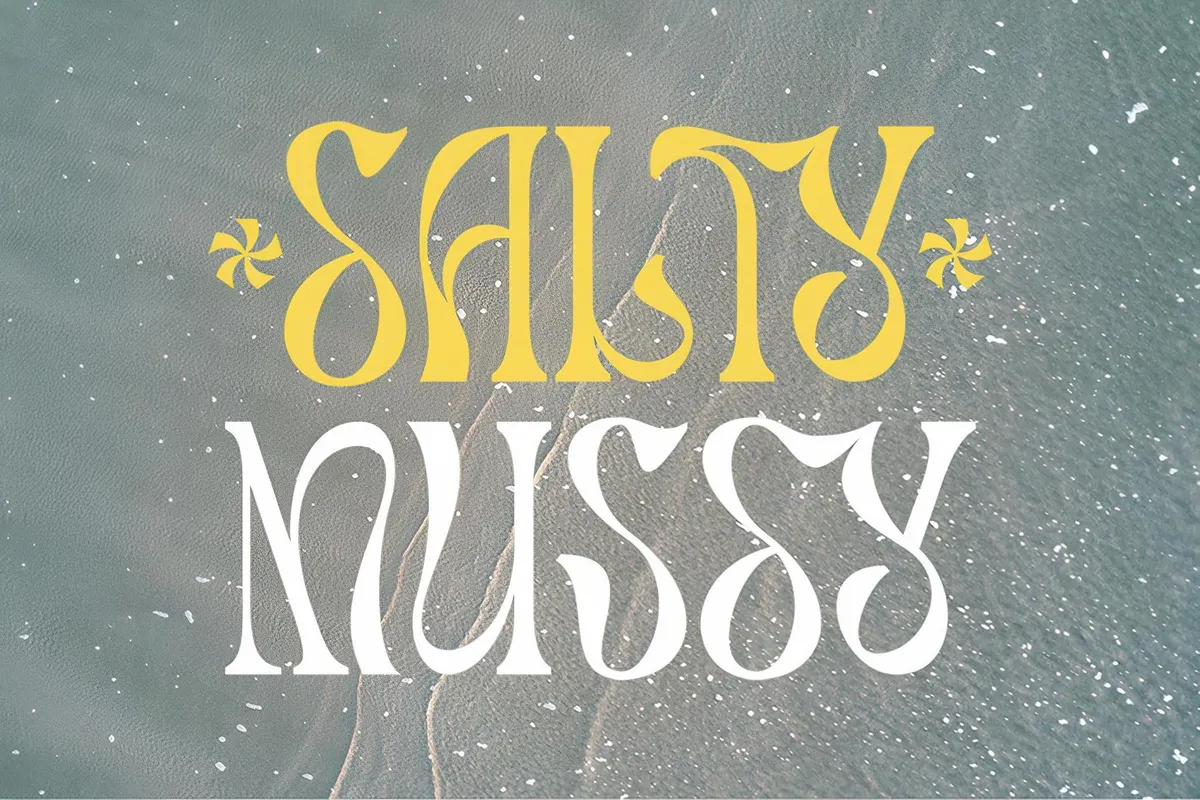 Salty Mussy - Quirky Twisted Display