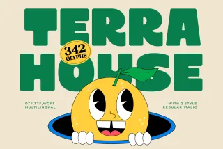 Terra House - Bold Sans Display Font