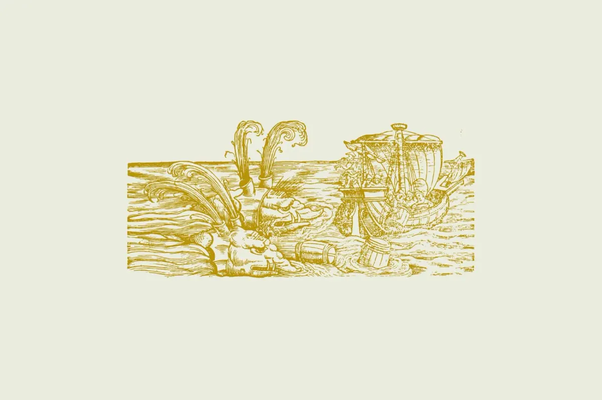 Whales & Sharks Illustrations