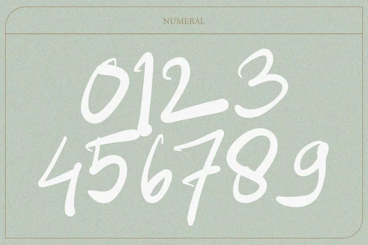 NEW SIQON — Expressive Handdrawn Brush Font