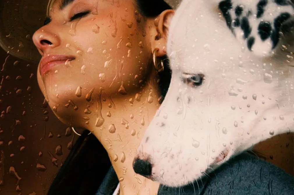 Rain On The Glass Photo Effect