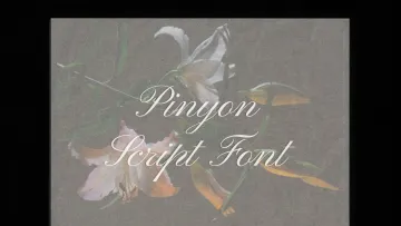 Pinyon Script Font