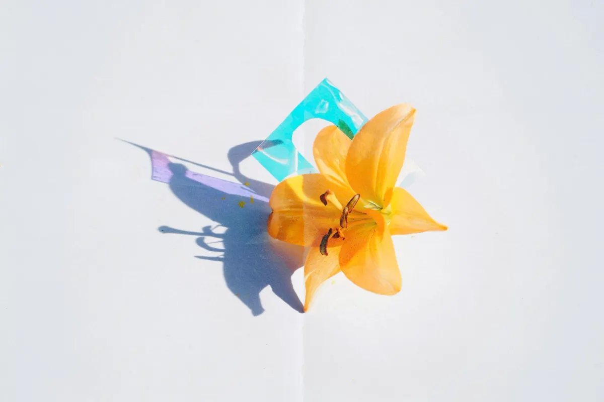 Subtle Paper Overlays Collection