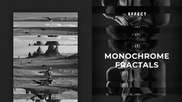 Monochrome Fractals Poster Effect