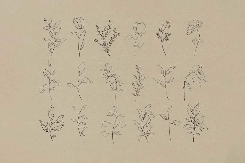 Botanical Line Art Pack