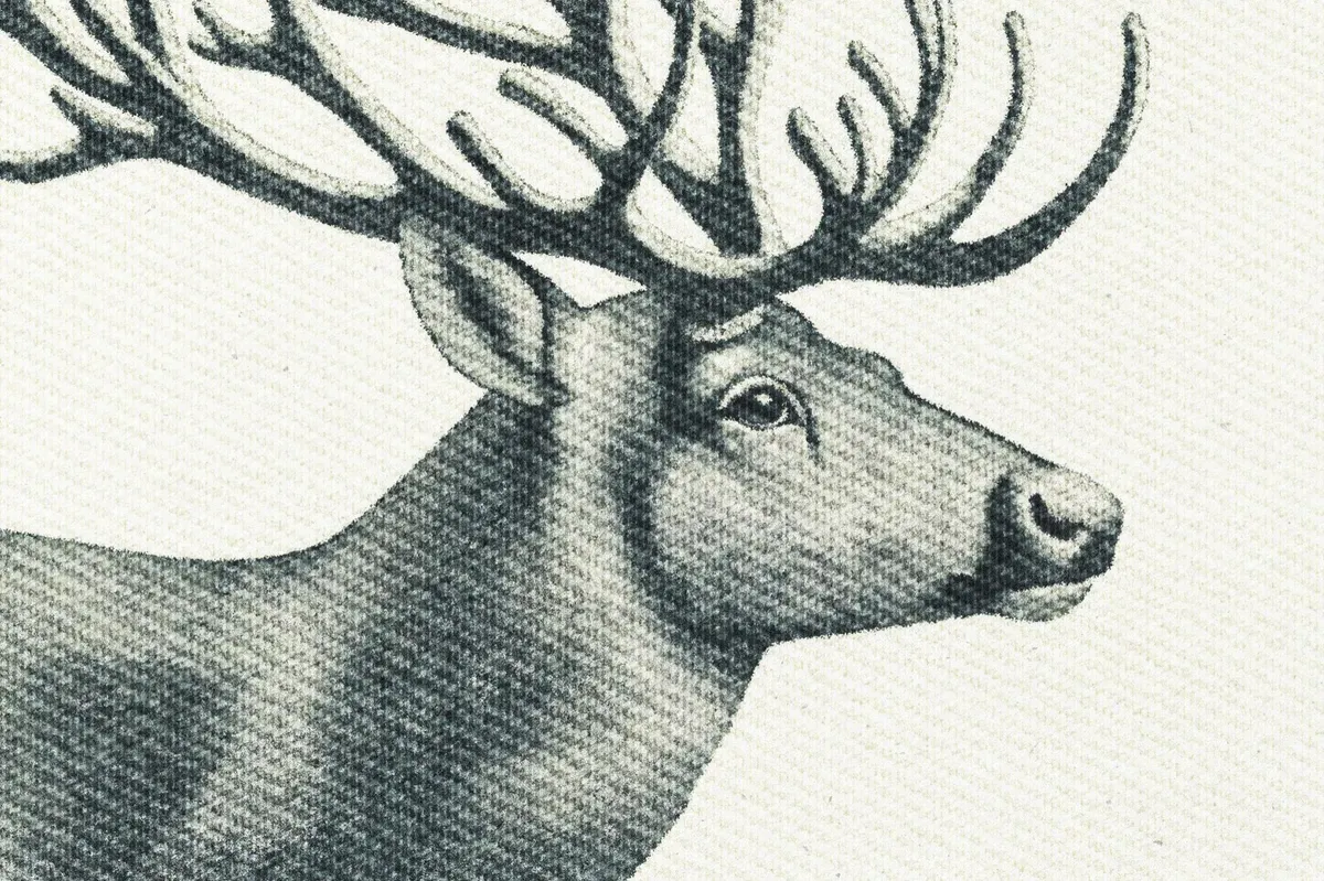 Machine Embroidery Texture Effect