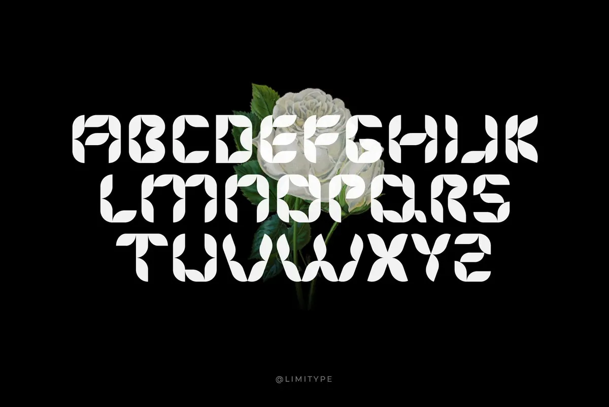 Florisa — Flowers Font