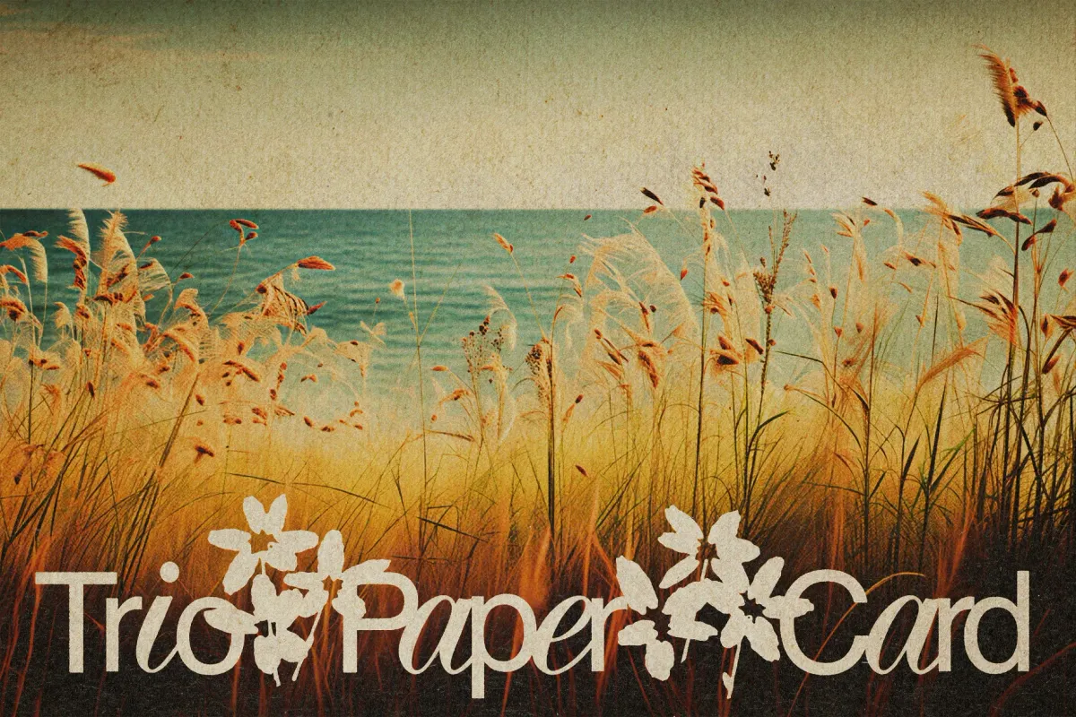 Trio Vintage Paper Textures Photo Effect