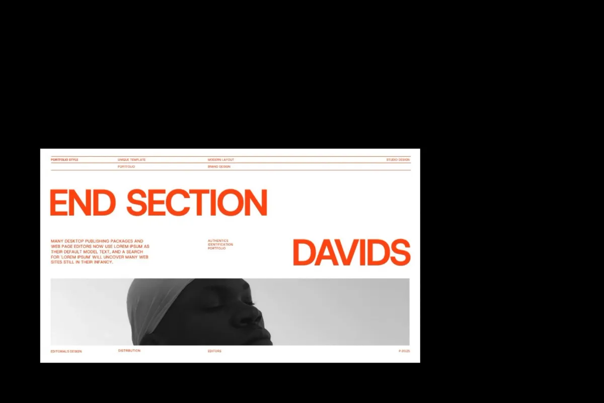 Brand Portfolio PowerPoint Template – Davids