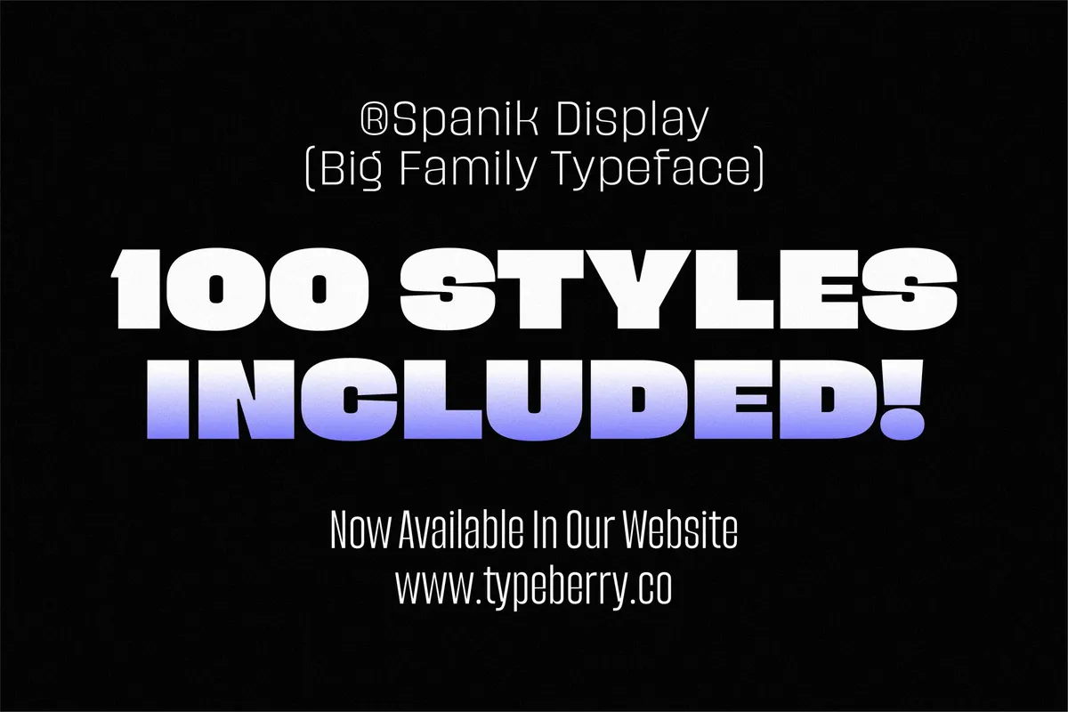 Spanik - Bold Display Sans Serif Superfamily