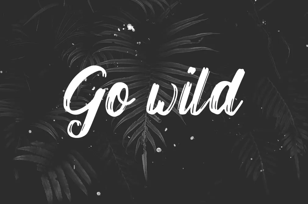Bogart Script Font
