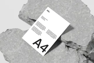 HASNIA Letterhead Mockup