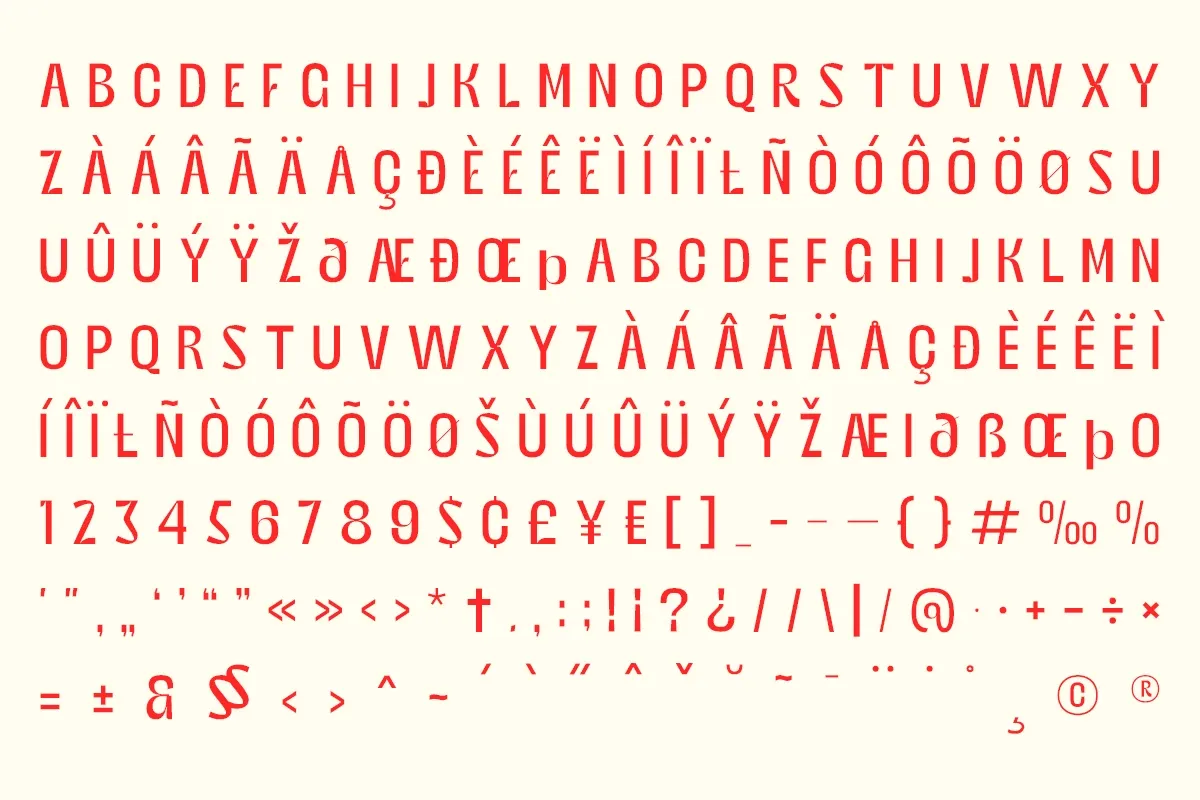 Bingro - Bold Food Branding Family Font