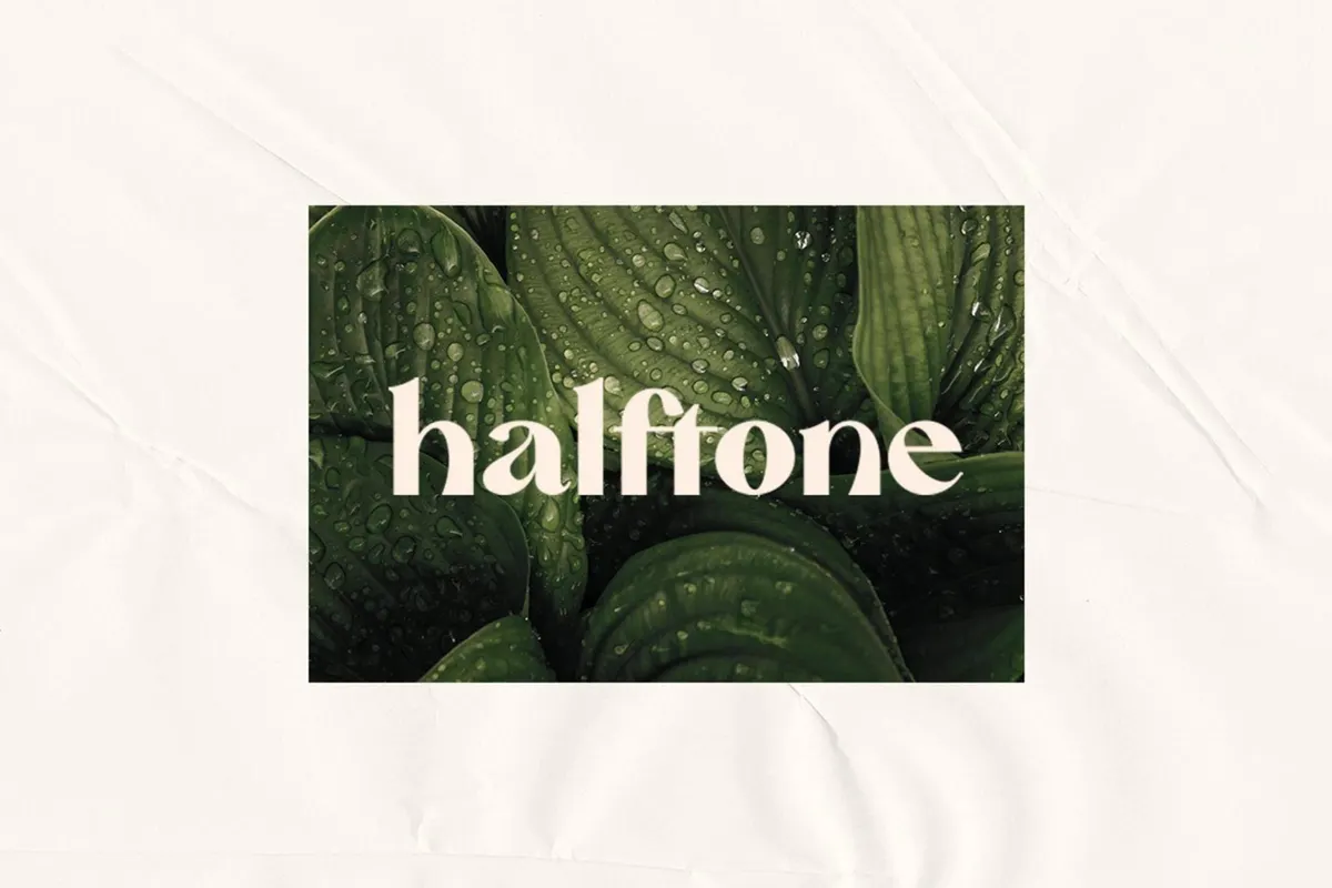 Mattire - Modern Serif Typeface