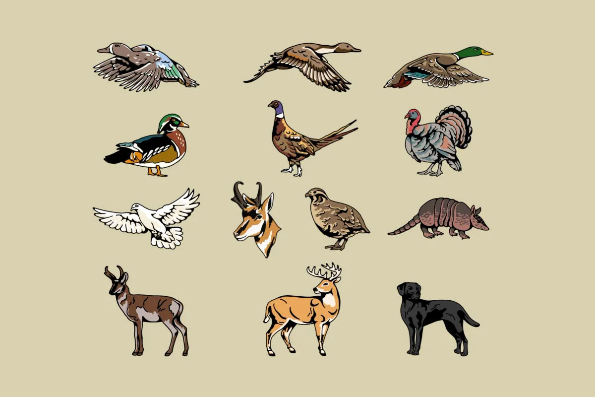 Hunting Fishing Animal Illustration