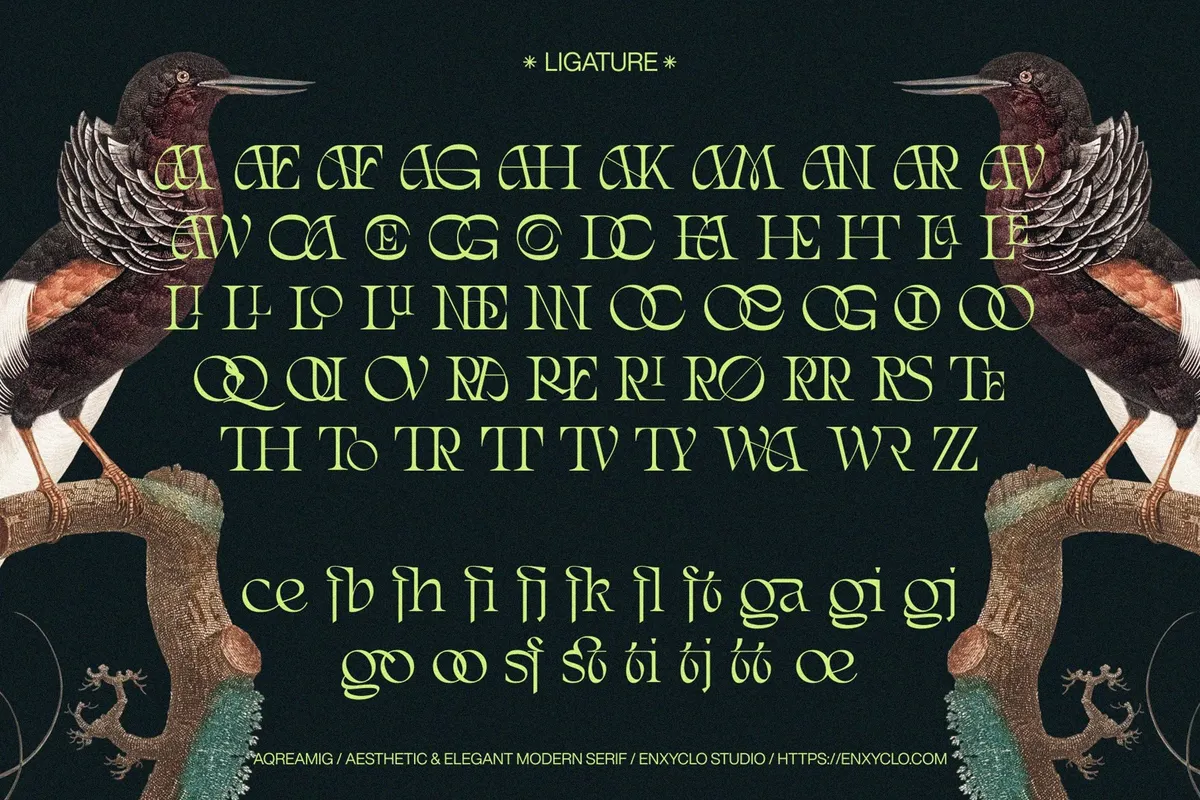 AQREAMIG — Modern Luxury Serif Font