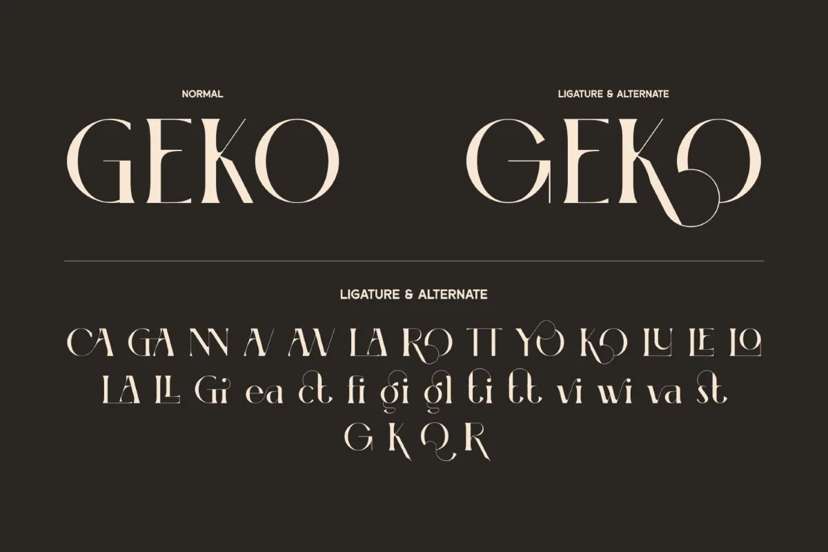 Amerta - High Contrast Serif Font