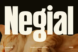 Negial - Condensed Display Font
