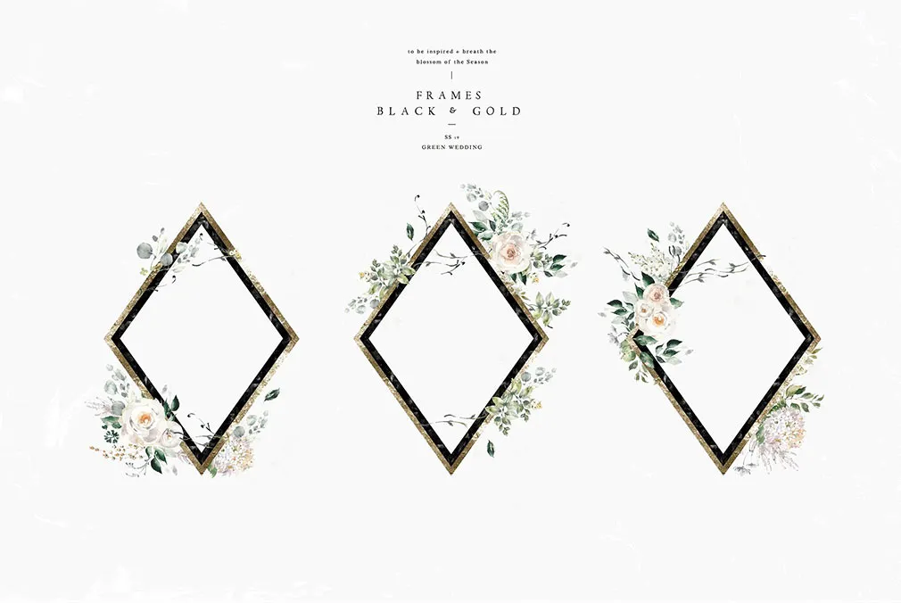 Allegory Watercolors Collection