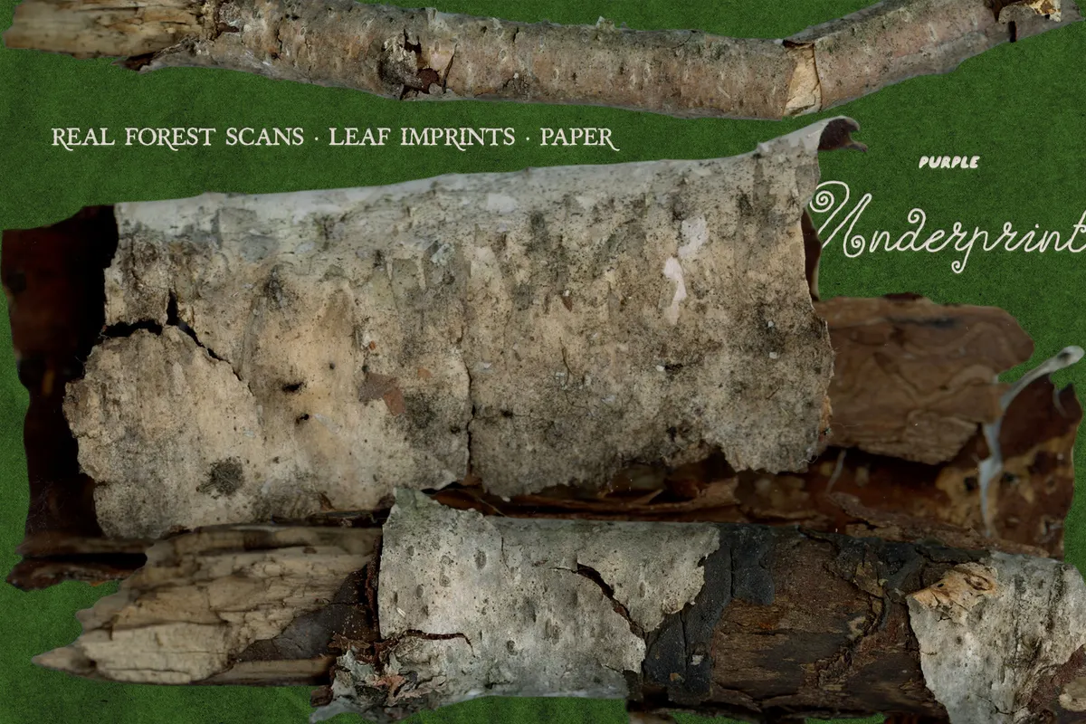 Underprint: Forest Collage Material Kit
