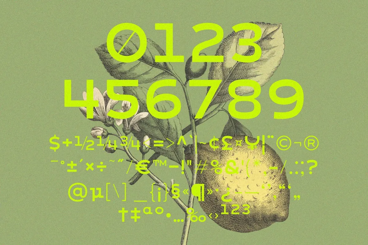 Kabog - Modern Classic Display Font