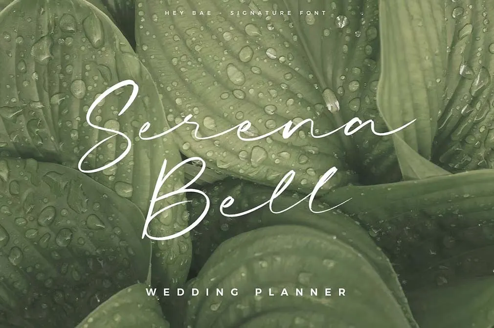 Hey Bae — Signature Script