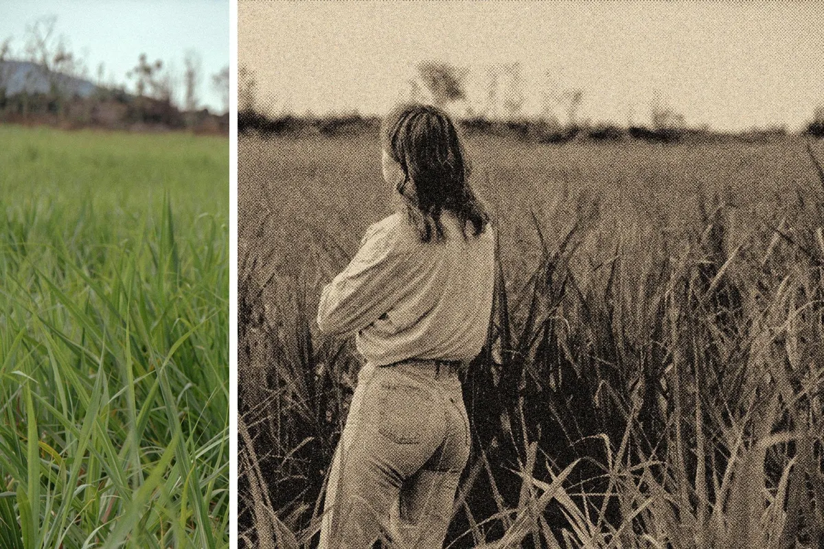 Sepia Print Photo Effect