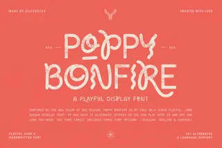 Poppy Bonfire — Modern Display Font