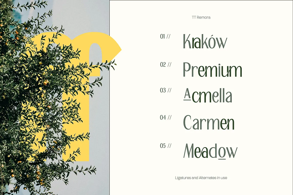 Remora - Art Deco Sans Serif Font Family