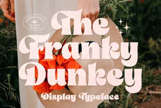 The Franky Dunkey — Display Typeface