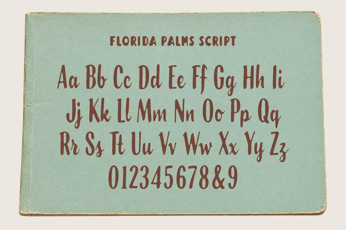 Florida Palms – Tropical Font Duo