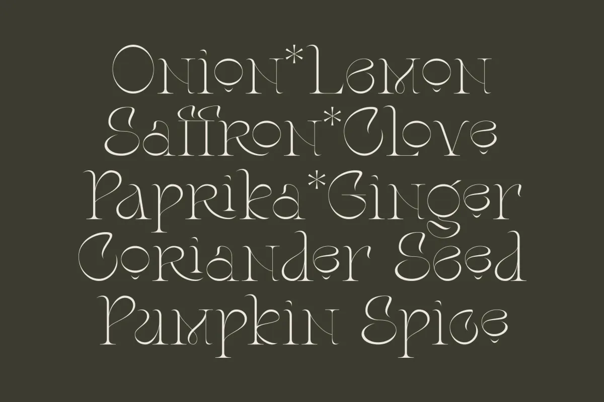 Stager - Elegant Classy Serif Font