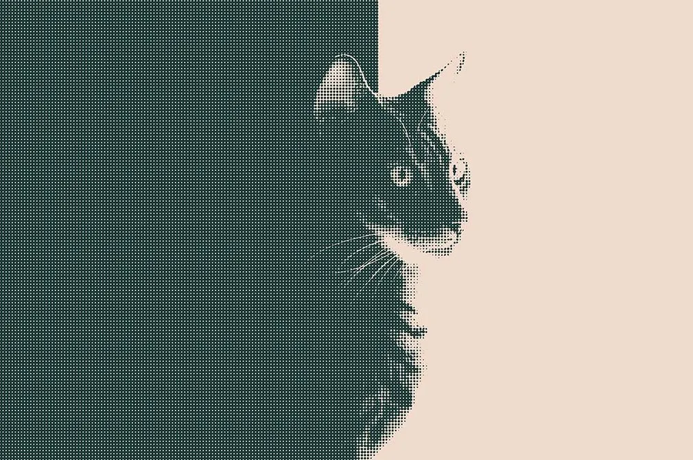 Halftone Dots Effect