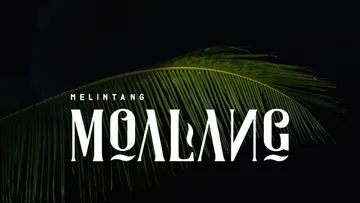 Moalang Display Font