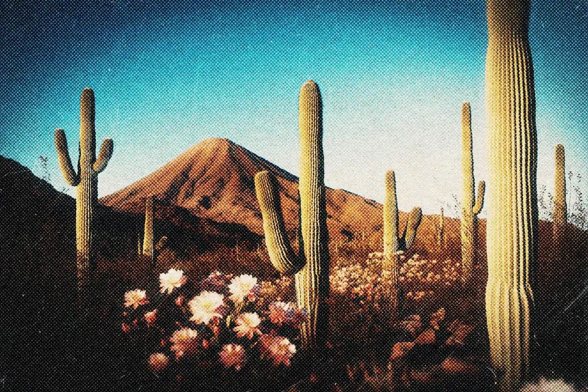 Nostalgic Grain Card Effect
