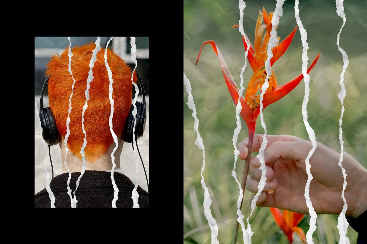 Ripped Collage Paper Photo Effect