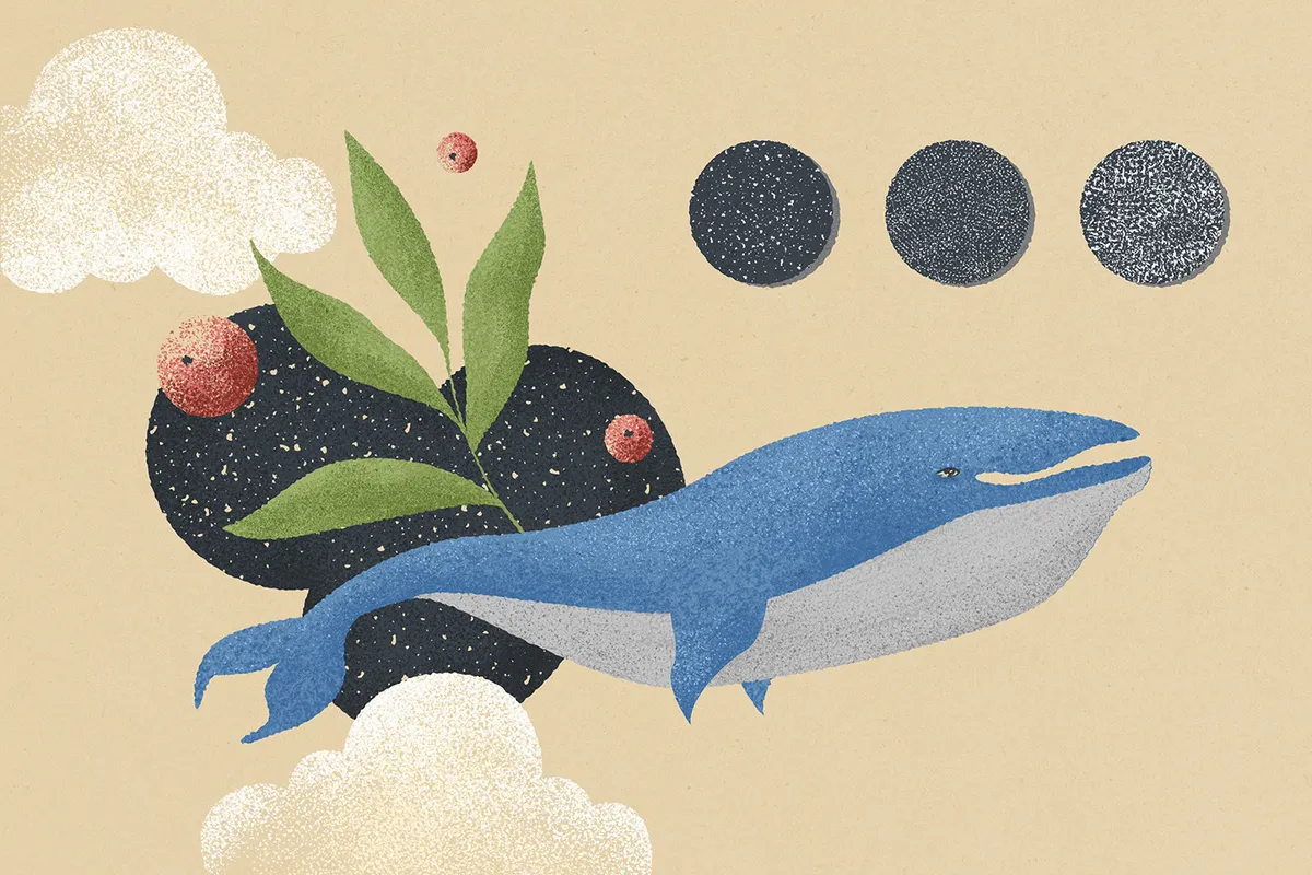 Tinge Texture Affinity Designer Brushes
