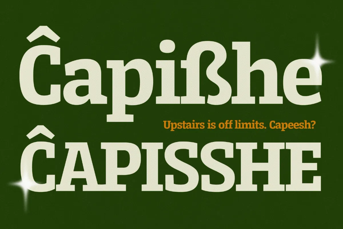 Serifnova Font