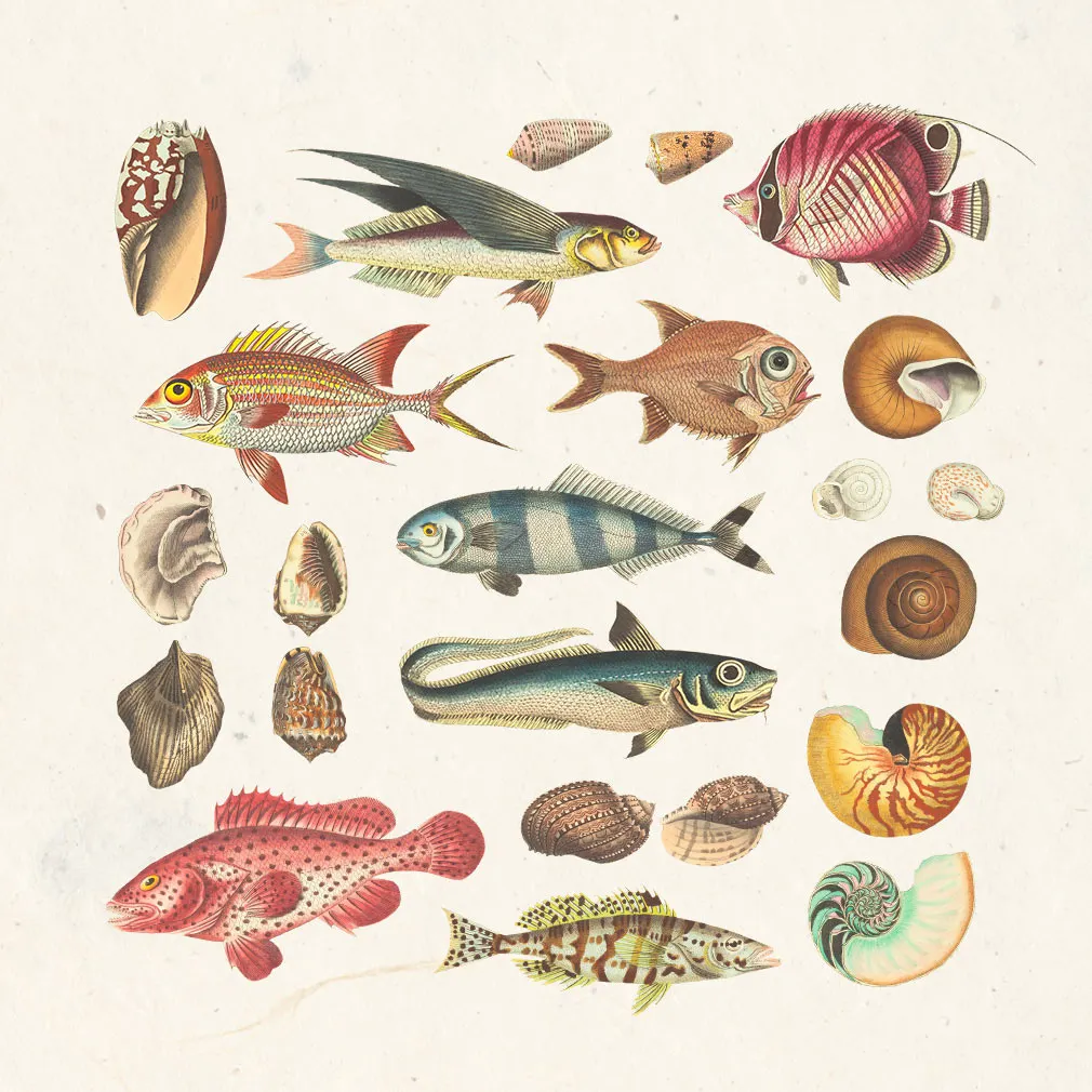 Nautical Vintage Graphic Kit