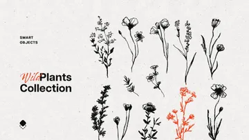 Wild Plants Graphic Set