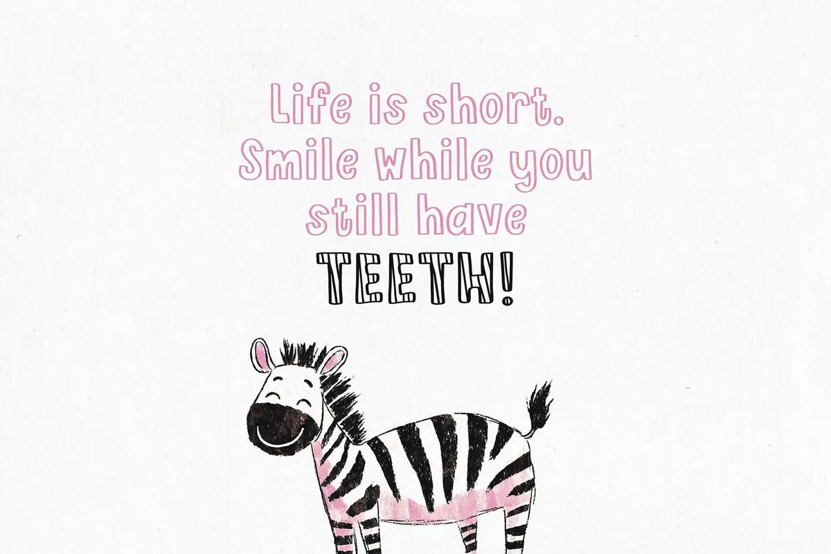 Pink Zebra Quirky Four-Font Family