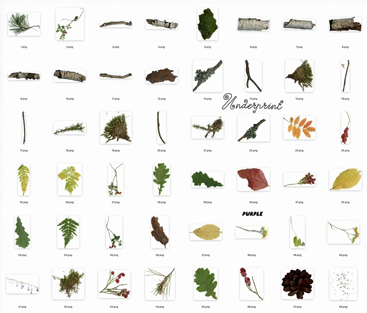 Underprint: Forest Collage Material Kit