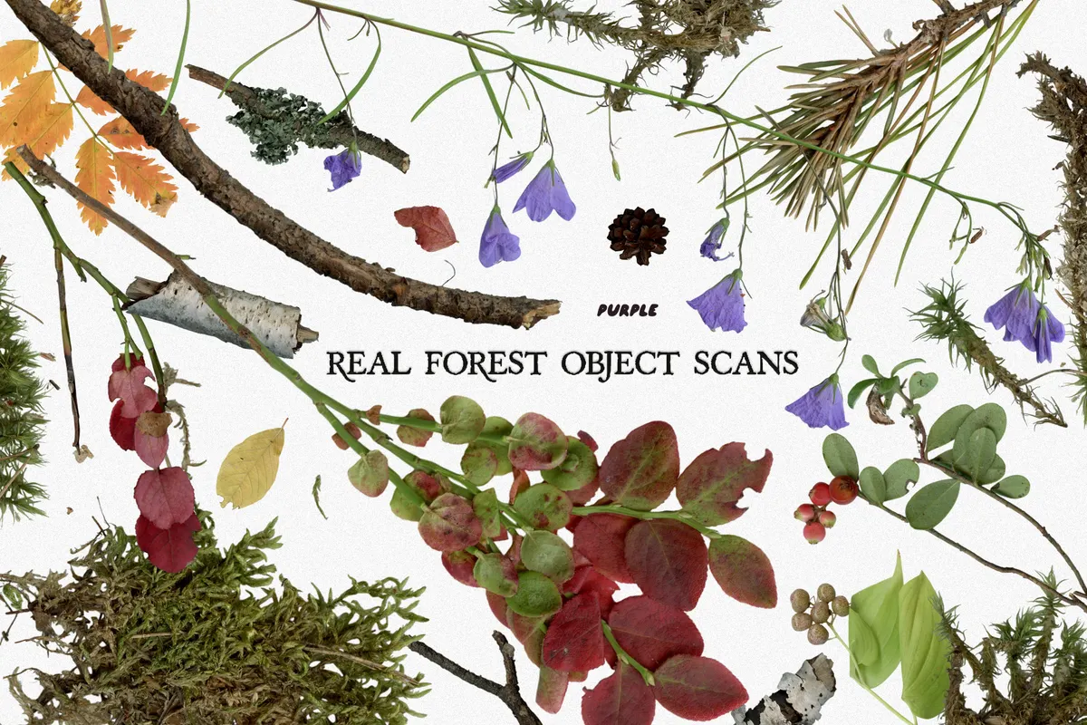Underprint: Forest Collage Material Kit