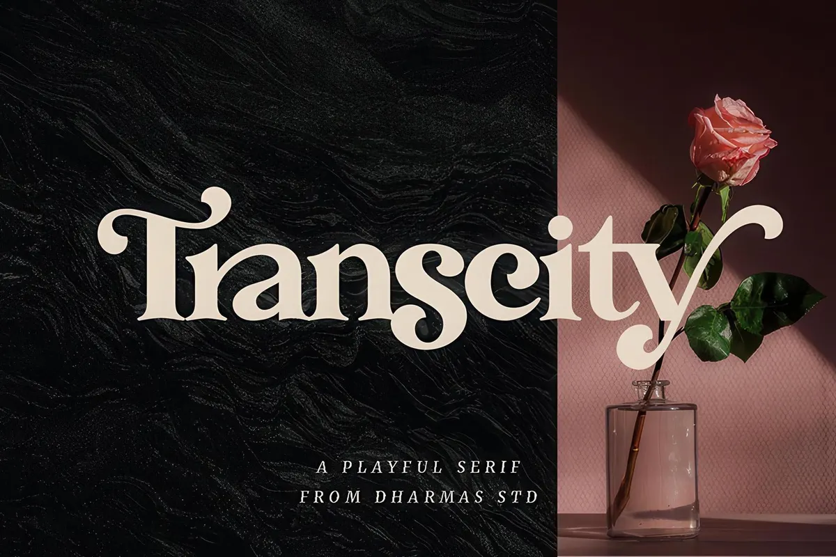 Transcity - A Playful Serif