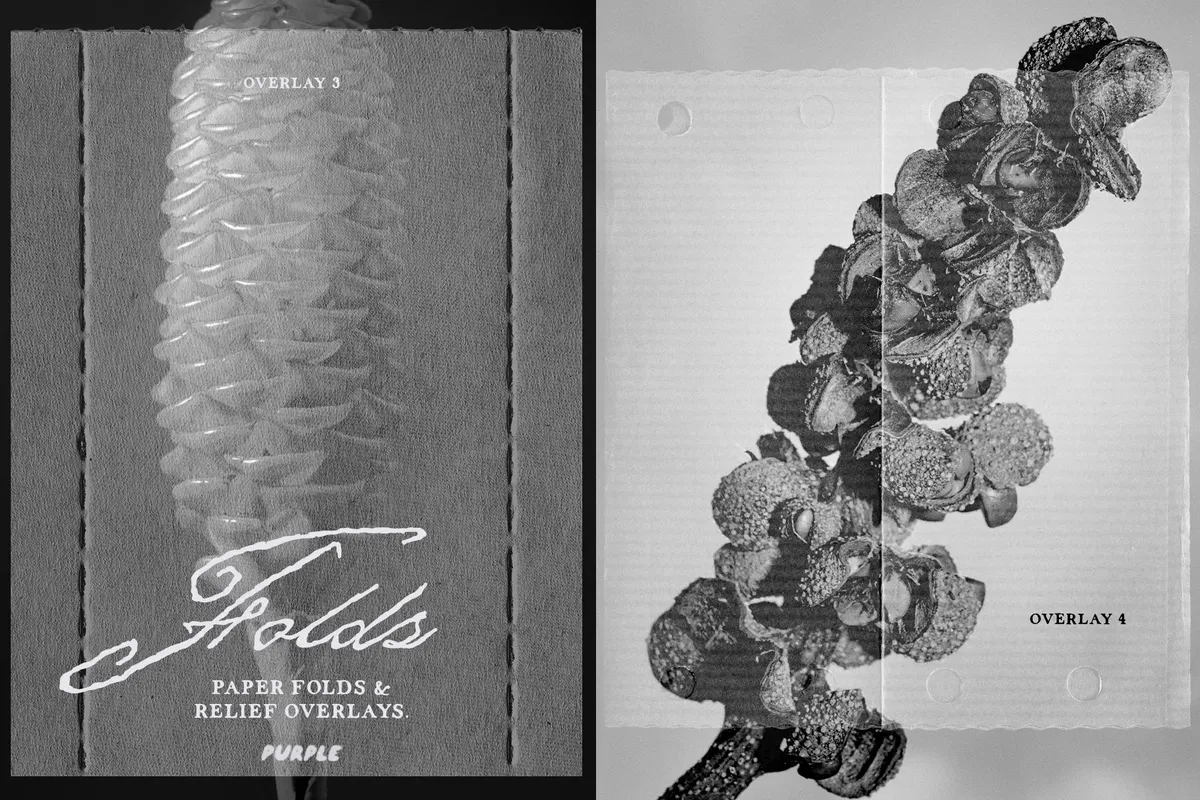 Paper Fold Overlays